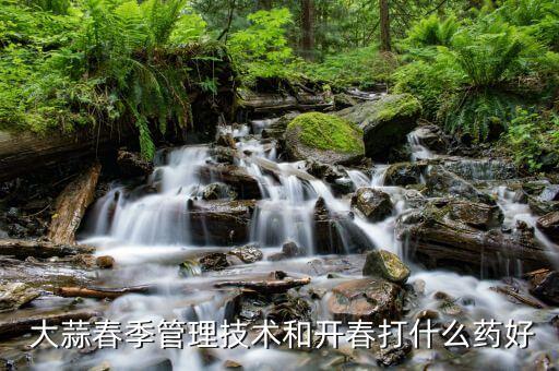 大蒜卷葉用什么農藥好呢,什么農藥能把大蒜打死...